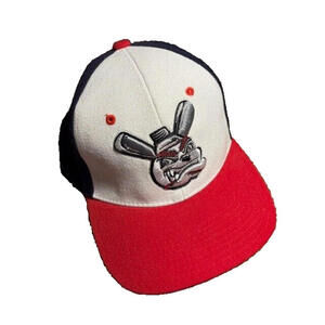 American Association Dog Baseball Zephyr Z Fit M/L Hat